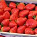 El gran boicot a las fresas españolas