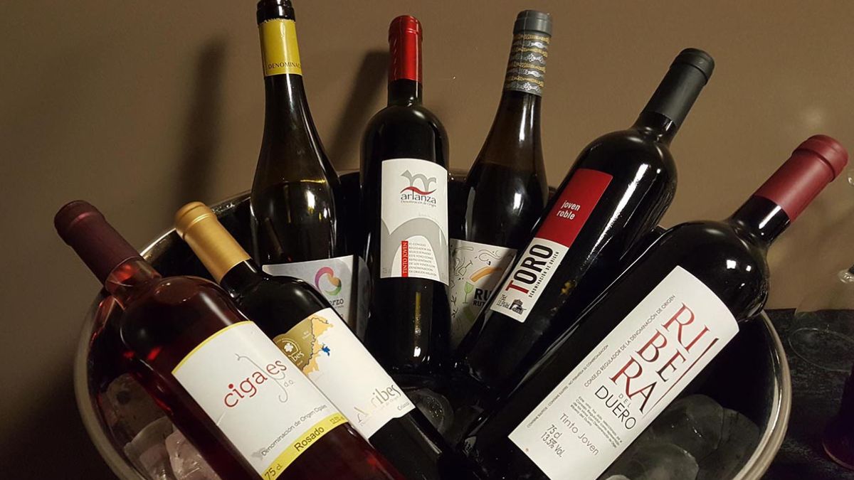 Los mejores vinos de España están en Castilla y León 1
