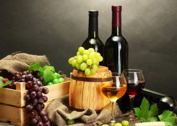 Los mejores vinos de España están en Castilla y León