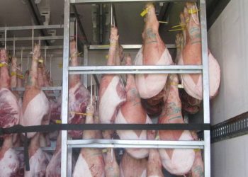 Detenidos por transportar 4 toneladas de carne ilegal