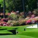 Adiós a los campos de golf por desperdicio de agua 2