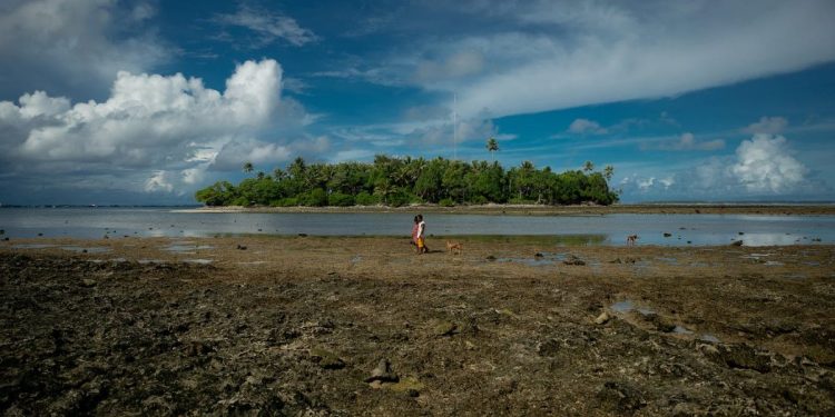 efectos del cambio climático