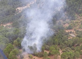 Conato de incendio en una zona boscosa