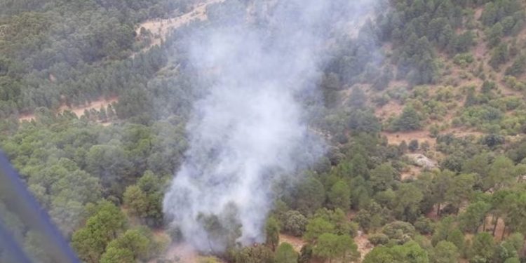 Conato de incendio en una zona boscosa