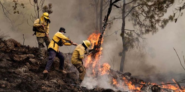 operativo antiincendios en Castilla y León