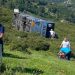 Covadonga, se despeña un autobús