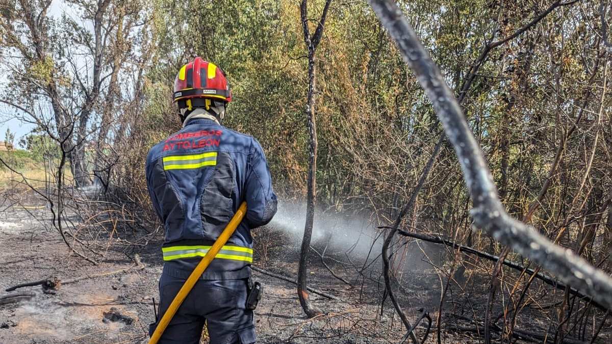 Arde la maleza en un incendio en San Andrés del Rabanedo 3