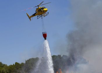 Arrestan al autor del incendio en una zona protegida