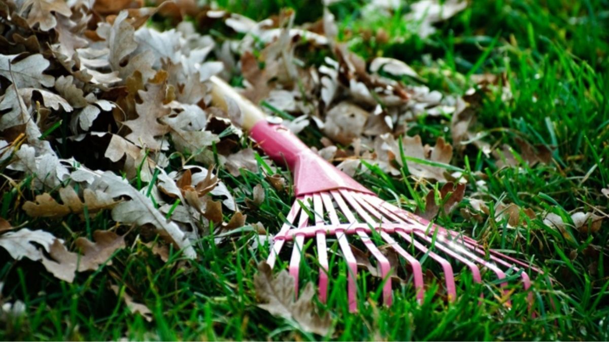 Un joven de 24 años pierde la vida haciendo jardinería 1