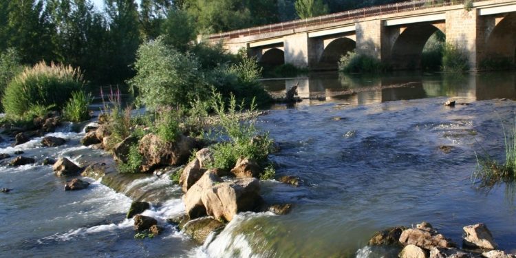 El deplorable estado del puente medieval en un pueblo de León 1