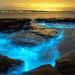 Las playas bioluminiscentes, que se les conoce como el mar de Ardora