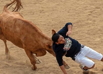 El colectivo animalista denuncia un festejo taurino