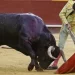 Toros en la televisión de Castilla y León