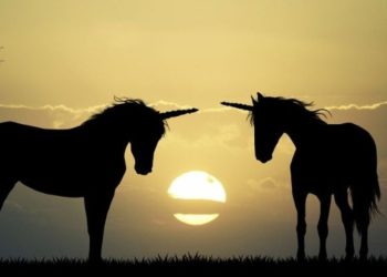 Avistan un unicornio en esta ciudad de Castilla y León