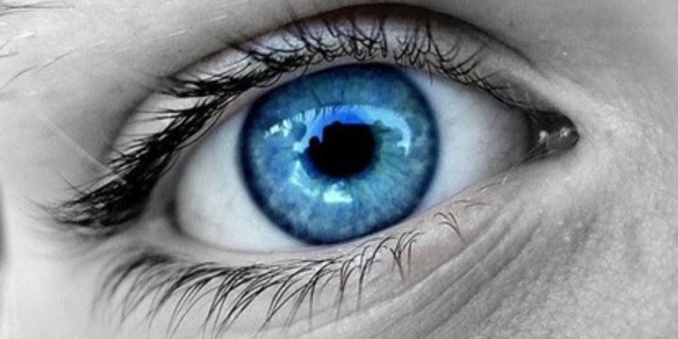 ¿Por qué hay personas que tienen los ojos azules?