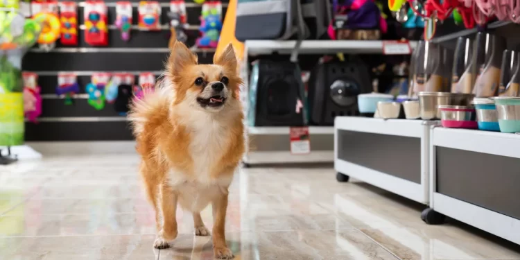 Cierre de tienda de mascotas