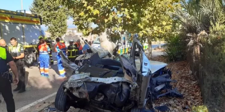 Colisión contra un árbol