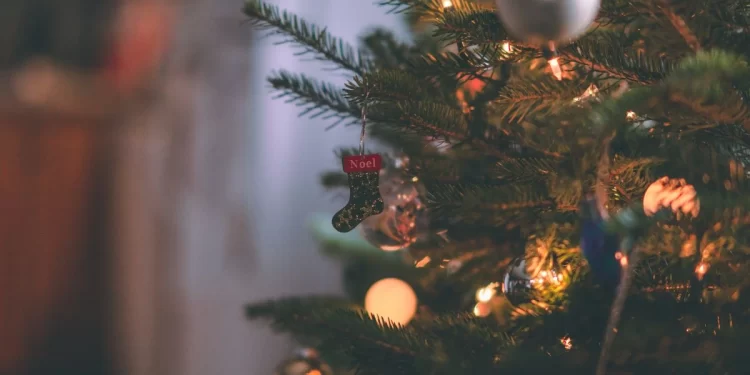 Cuánto cuestan luces de navidad en León 1