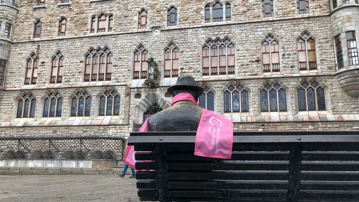 Las estatuas de León se visten de rosa 6