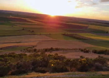 Se crea una red de castellanoleoneses para dar a visibilidad a la provincia 1