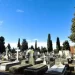 Cementerio de León