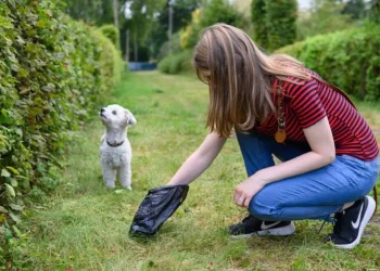 Multa por excrementos de perros