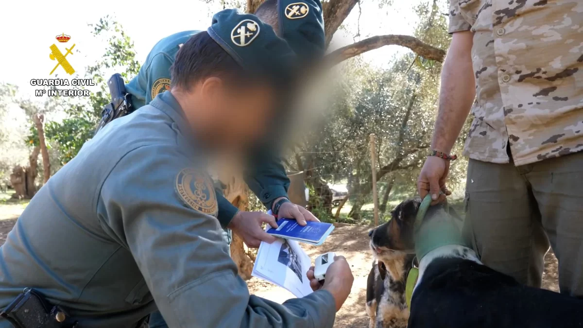 58 investigados por la mutilación ilegal de 1.111 perros 3