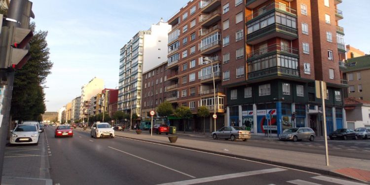 El primer ramo leonés de la Navidad ya está en León 1