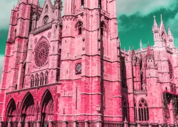 Catedral de León de rosa