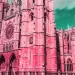 Catedral de León de rosa