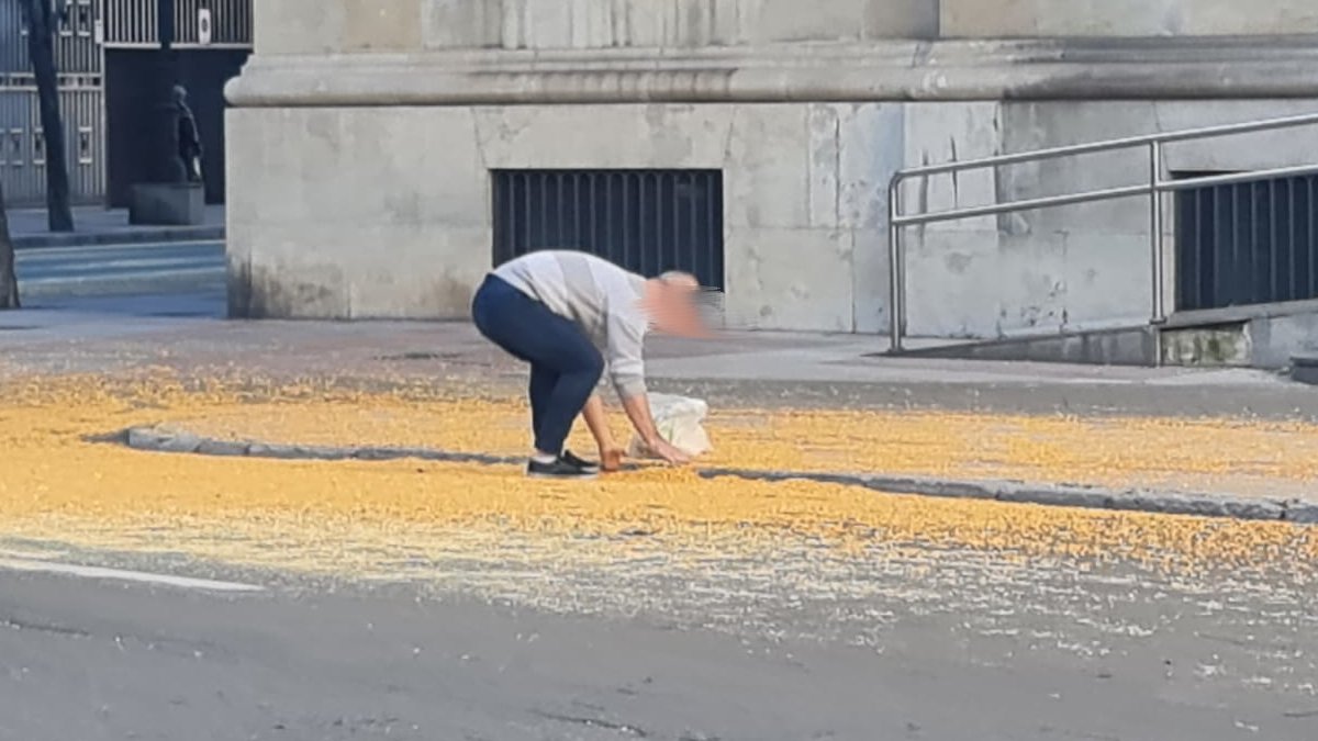 Una sorprendente nevada amarilla en León 3