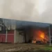 Ovejas en incendio