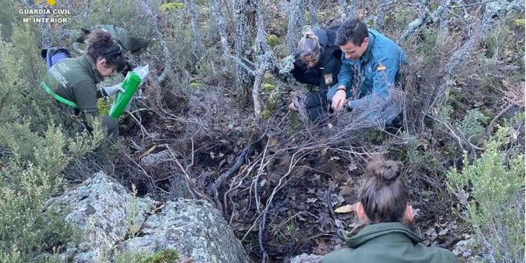 El hallazgo de los restos de un oso en este parque