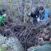 El hallazgo de los restos de un oso en este parque