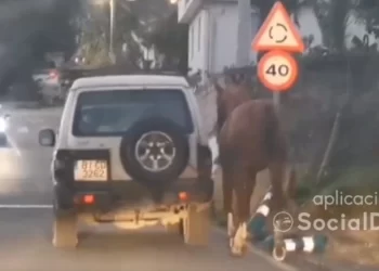 Conduce con un caballo atado a su coche