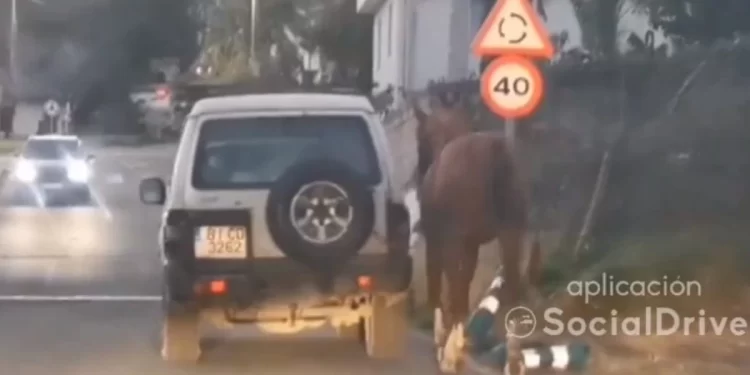 Conduce con un caballo atado a su coche