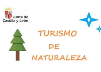 El nuevo logo de Castilla y León