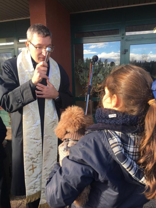 San Antón lleva las mascotas al 'cole' 4