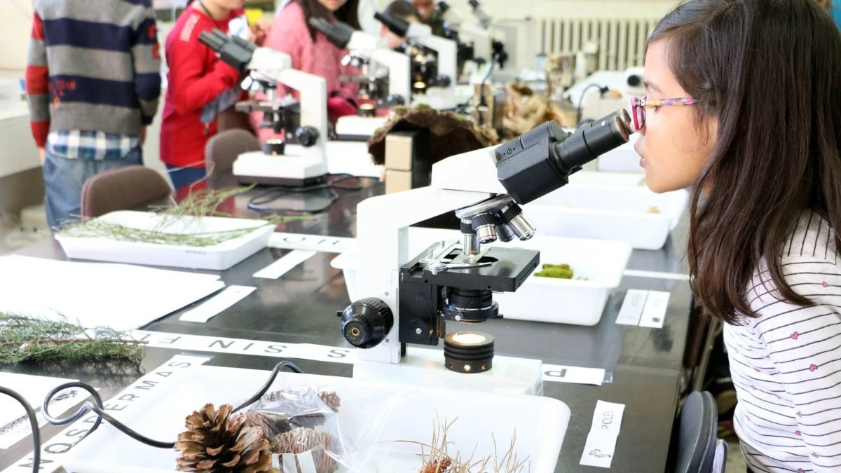 Día de la Mujer y la Niña en la Ciencia