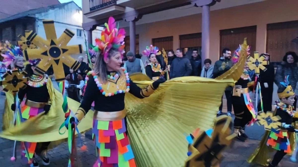 Las mejores imágenes del desfile de Carnaval en Valencia de Don Juan 2024 9