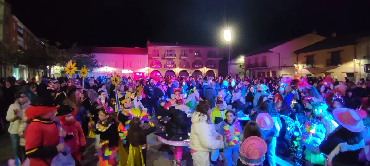 Las mejores imágenes del desfile de Carnaval en Valencia de Don Juan 2024 8