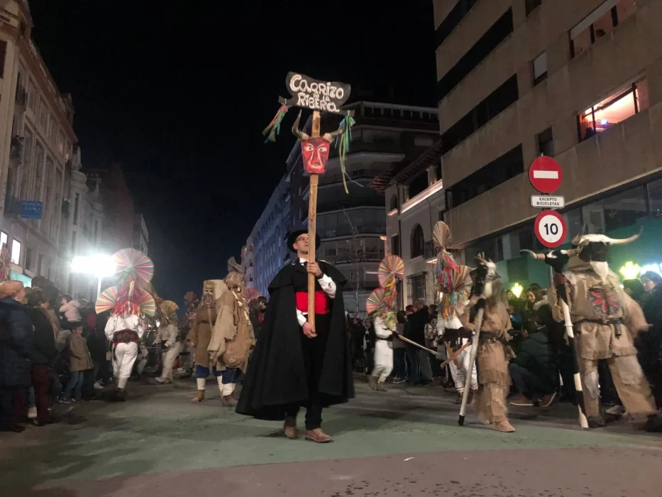 Las mejores imágenes de los Antruejos, el desfile más divertido 22