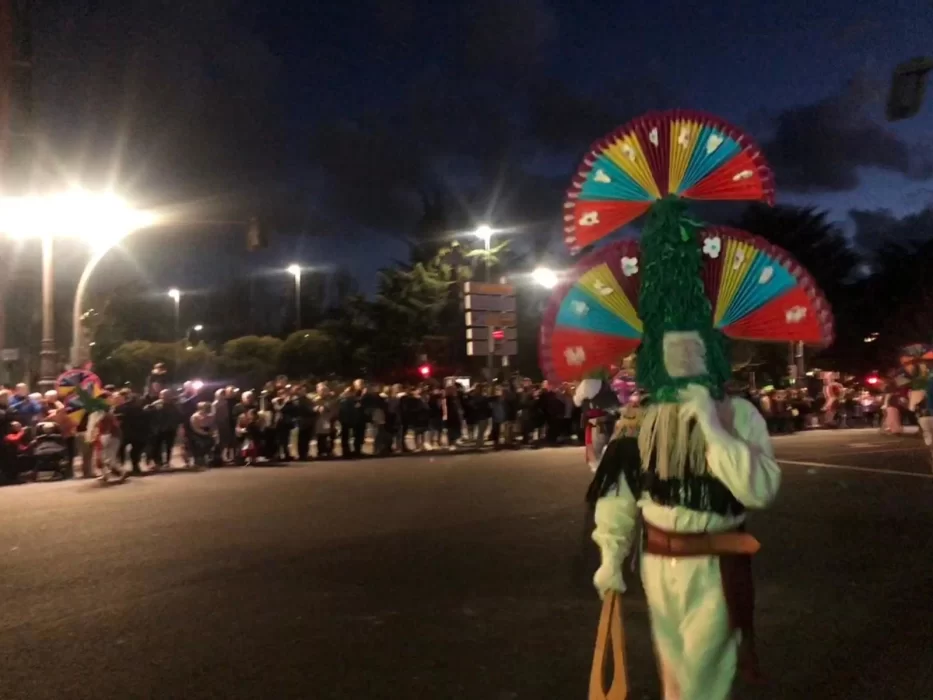 Las mejores imágenes de los Antruejos, el desfile más divertido 8