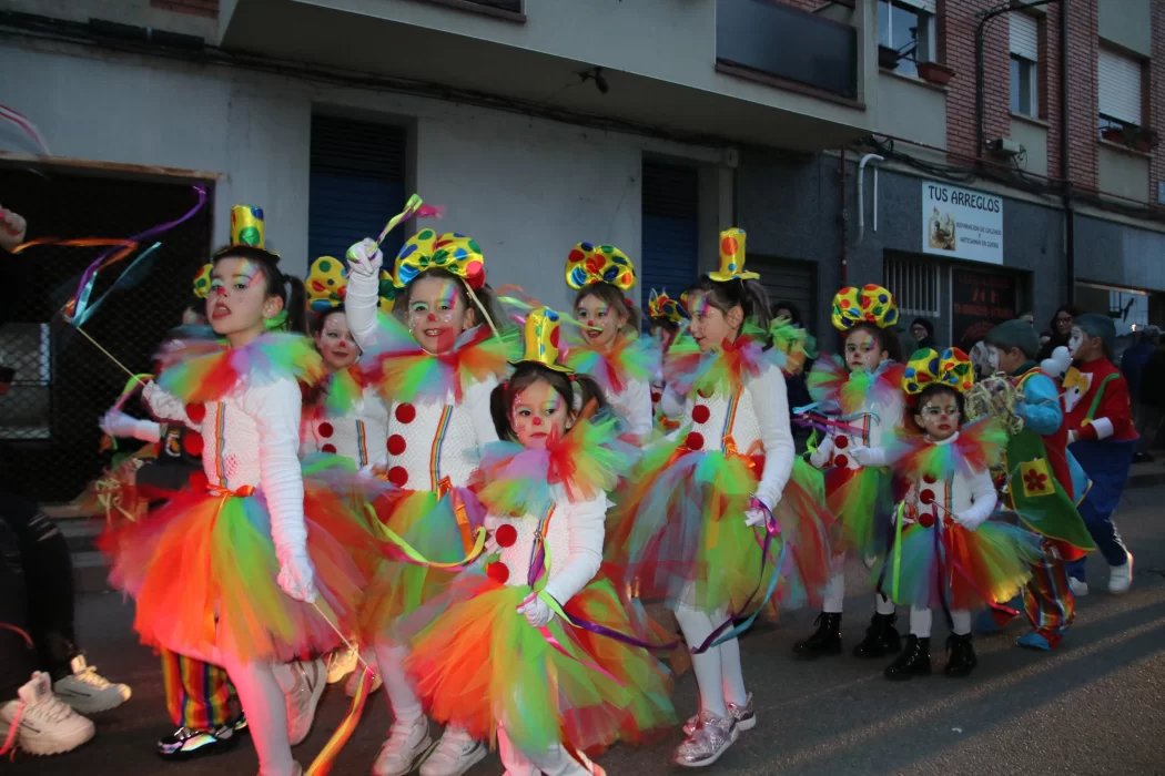 Las mejores imágenes del desfile de Carnaval en Valencia de Don Juan 2024 3