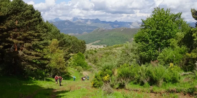 La ruta por Boñar para todos los públicos 1