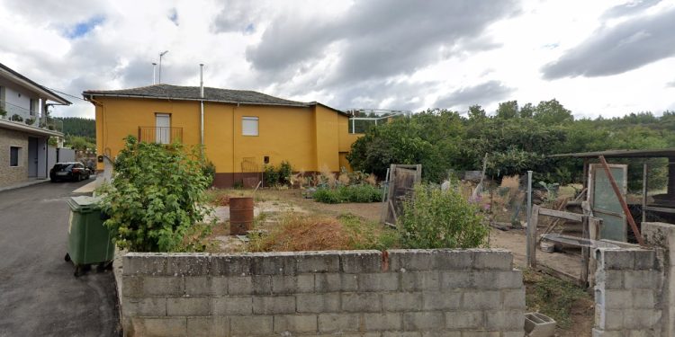 Podaba un árbol y murió