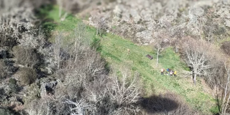 Rescate en helicóptero de la mujer herida en un pinar