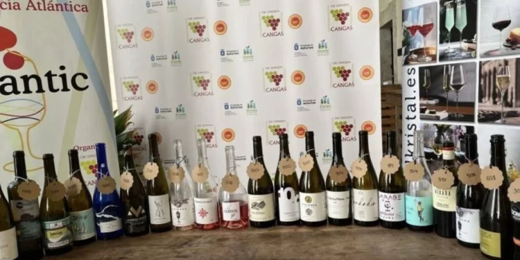 Los vinos leoneses brindan por la excelencia 1