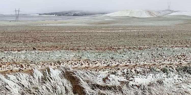 La nieve viste la provincia de blanco