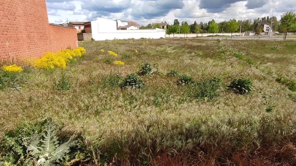 La Lastra continúa su lucha contra el Ayuntamiento por un barrio mejor 1